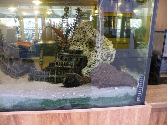 ScholaInNatura Fotogaleria