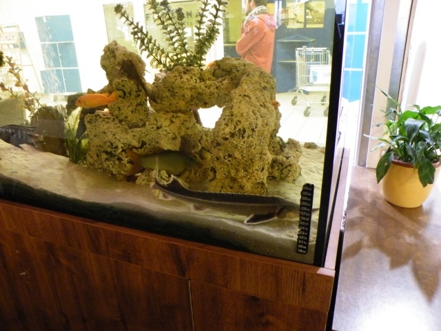 ScholaInNatura Fotogaleria