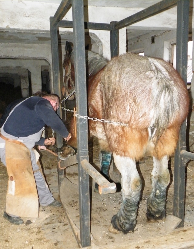 ScholaInNatura Fotogaleria