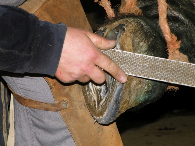 ScholaInNatura Fotogaleria