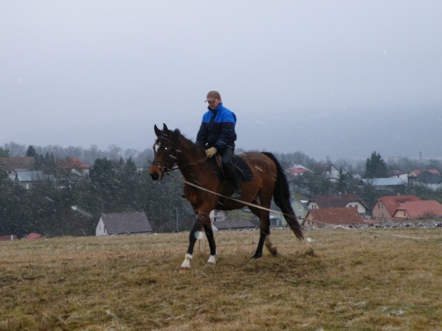 ScholaInNatura Fotogaleria