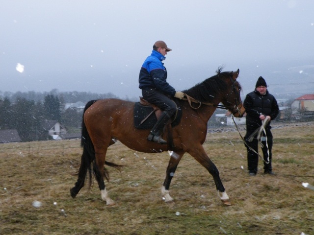 ScholaInNatura Fotogaleria