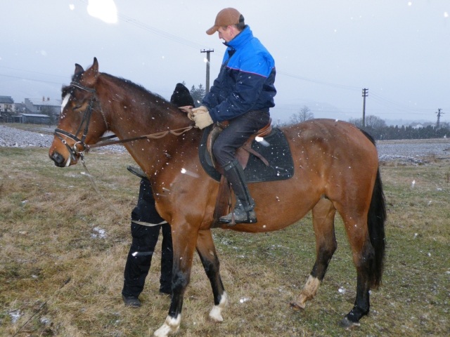 ScholaInNatura Fotogaleria