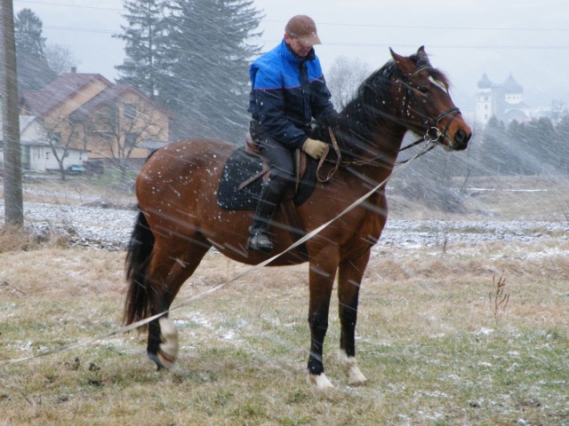 ScholaInNatura Fotogaleria