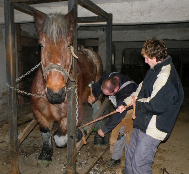 ScholaInNatura Fotogaleria