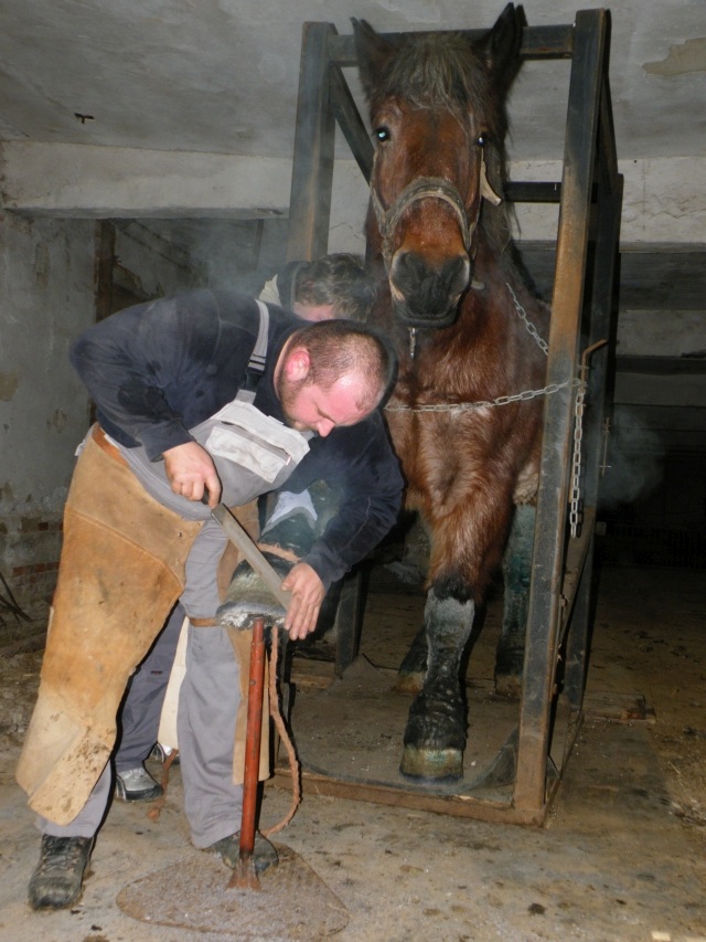 ScholaInNatura Fotogaleria