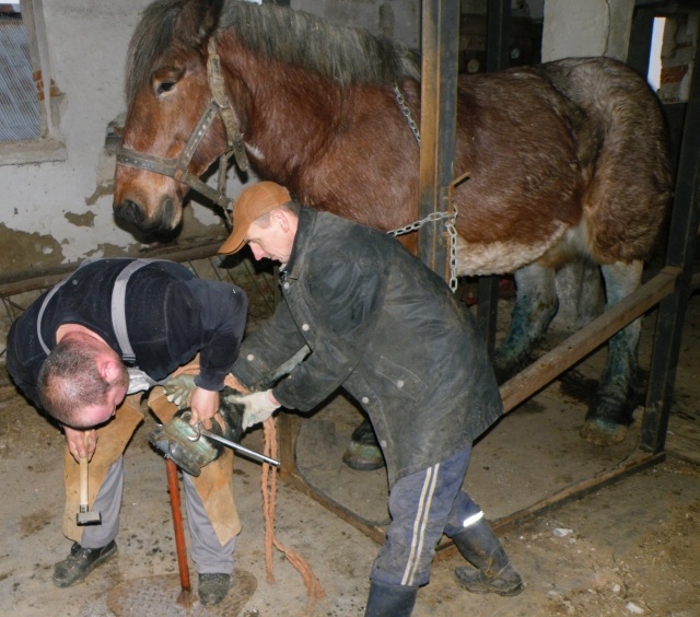 ScholaInNatura Fotogaleria