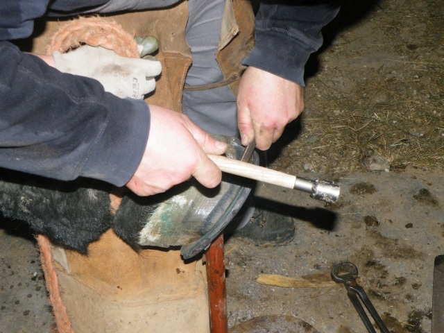 ScholaInNatura Fotogaleria