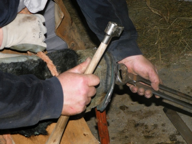 ScholaInNatura Fotogaleria