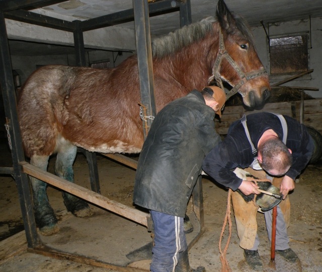 ScholaInNatura Fotogaleria