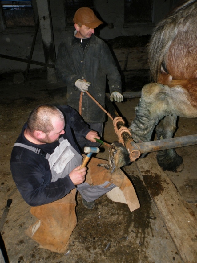 ScholaInNatura Fotogaleria