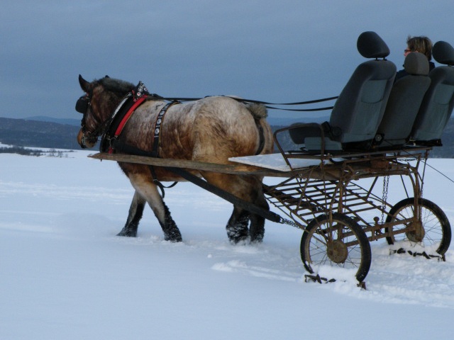 ScholaInNatura Fotogaleria