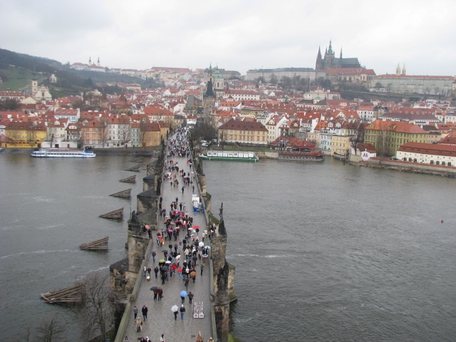 ScholaInNatura Fotogaleria