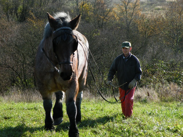 ScholaInNatura Fotogaleria