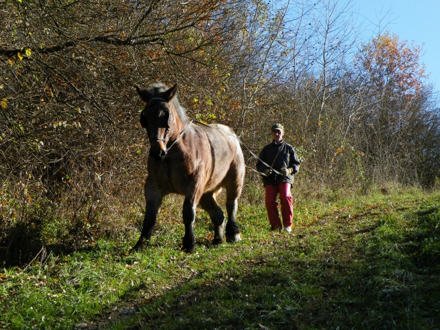 ScholaInNatura Fotogaleria