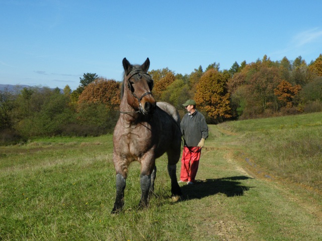 ScholaInNatura Fotogaleria