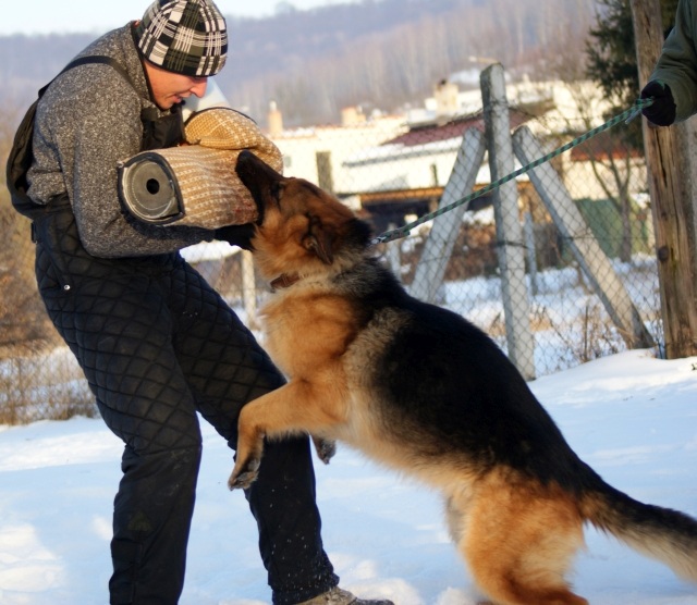 ScholaInNatura Fotogaleria
