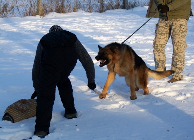 ScholaInNatura Fotogaleria