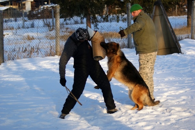 ScholaInNatura Fotogaleria