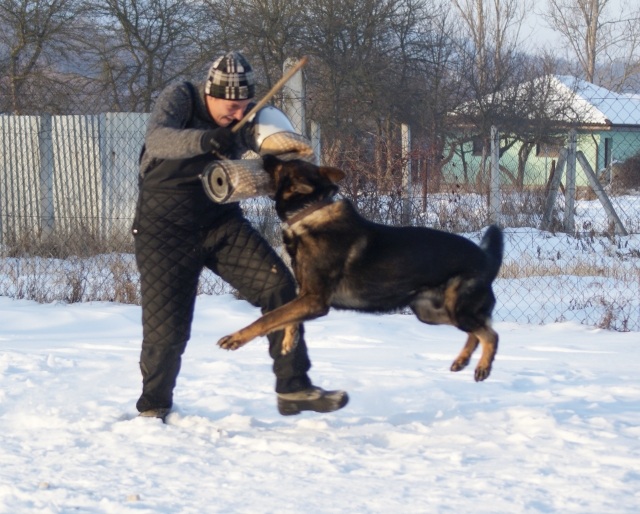 ScholaInNatura Fotogaleria