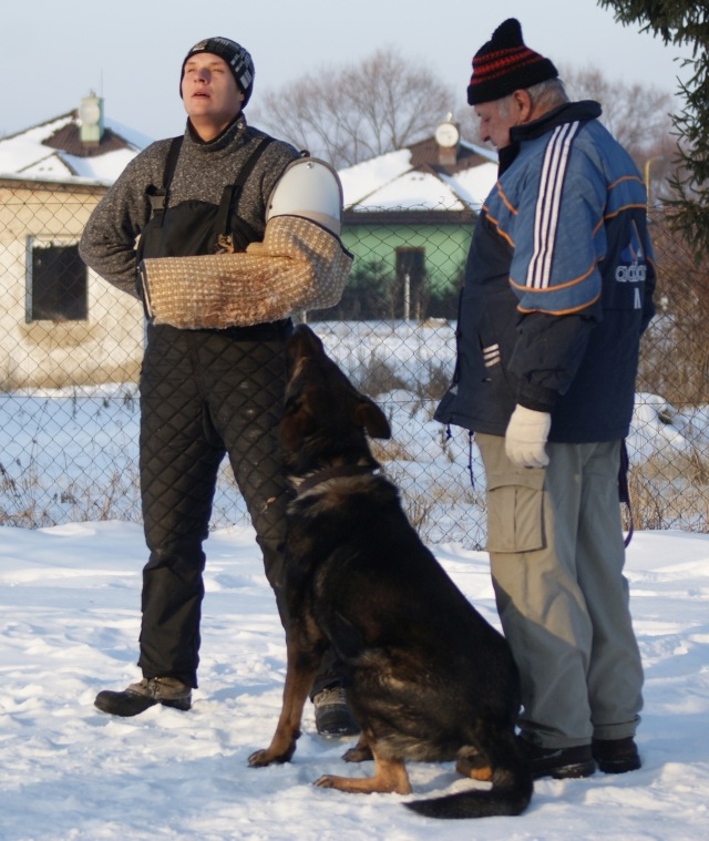 ScholaInNatura Fotogaleria