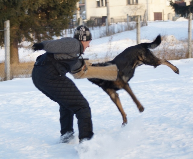 ScholaInNatura Fotogaleria