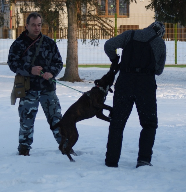 ScholaInNatura Fotogaleria