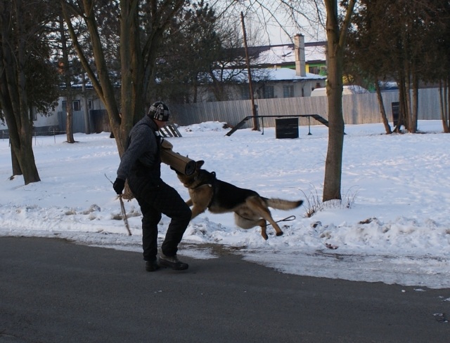 ScholaInNatura Fotogaleria