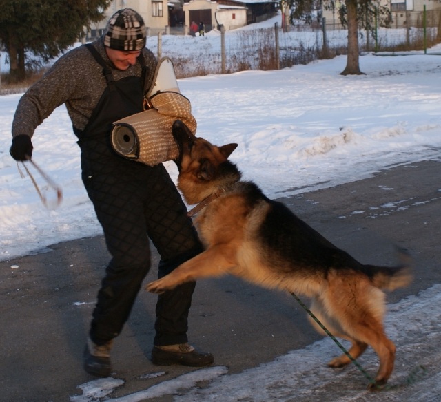 ScholaInNatura Fotogaleria