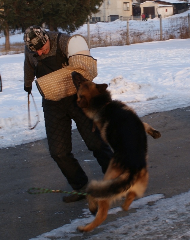 ScholaInNatura Fotogaleria