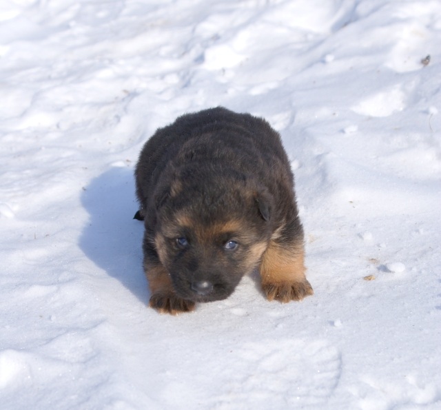 ScholaInNatura Fotogaleria