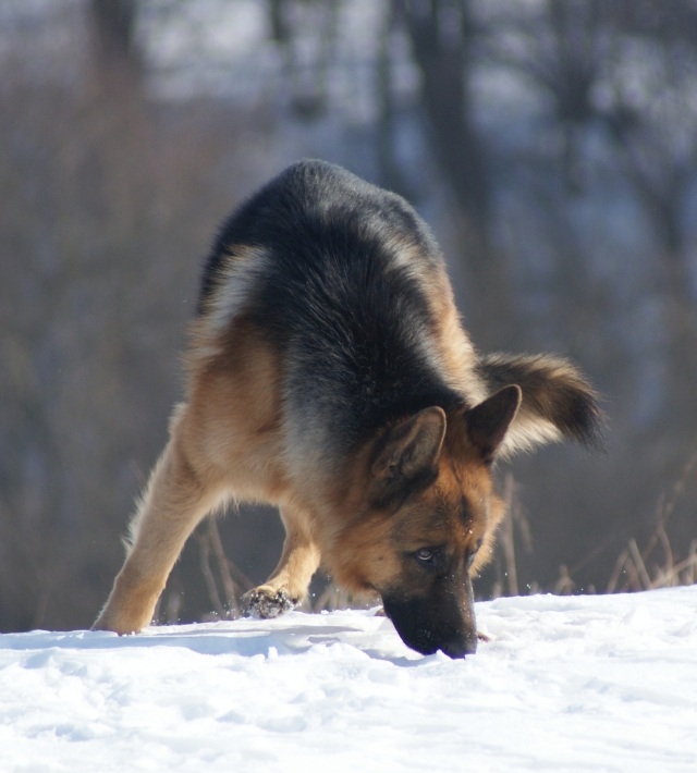ScholaInNatura Fotogaleria