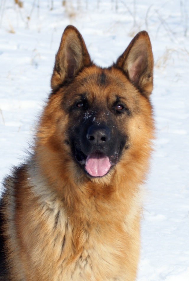 ScholaInNatura Fotogaleria