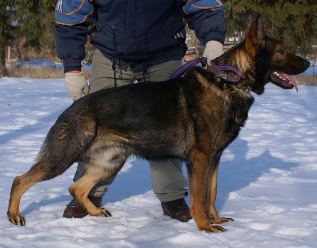 ScholaInNatura Fotogaleria