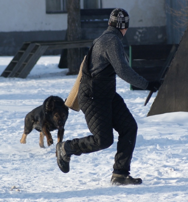 ScholaInNatura Fotogaleria
