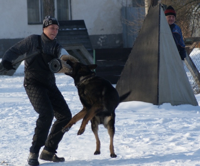 ScholaInNatura Fotogaleria