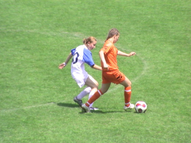 ScholaInNatura Fotogaleria