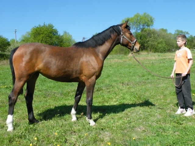 ScholaInNatura Fotogaleria