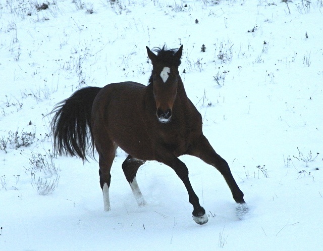 ScholaInNatura Fotogaleria