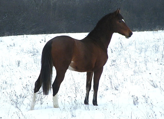 ScholaInNatura Fotogaleria