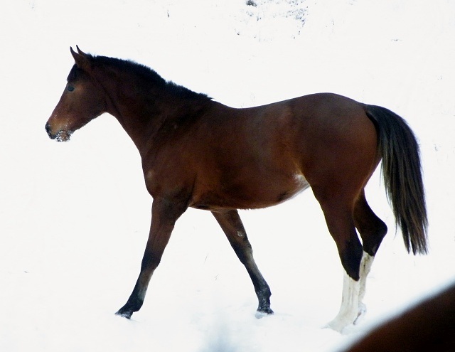 ScholaInNatura Fotogaleria