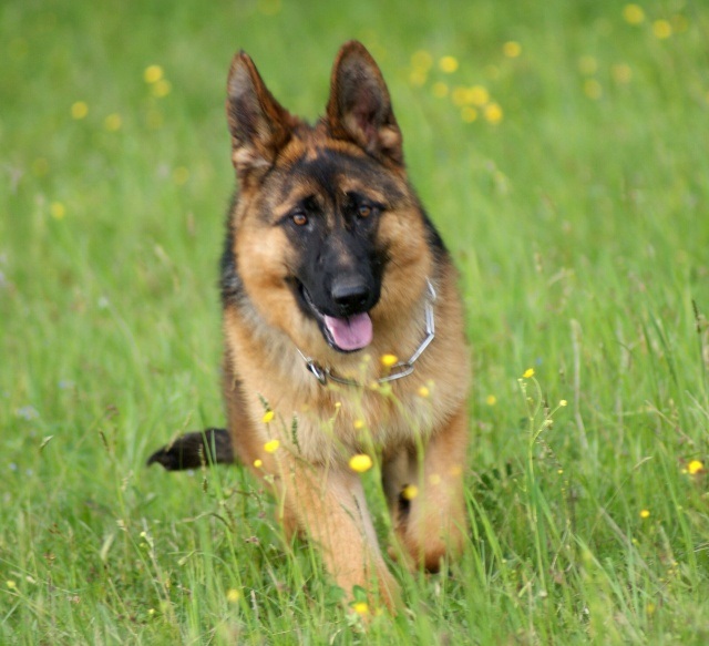 ScholaInNatura Fotogaleria