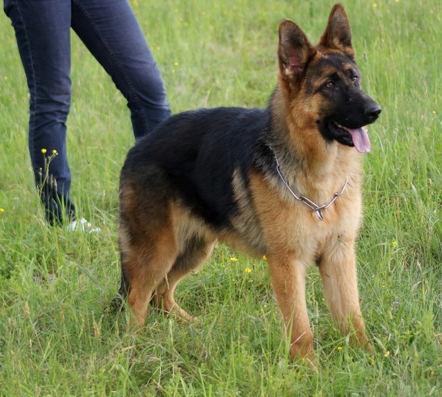 ScholaInNatura Fotogaleria