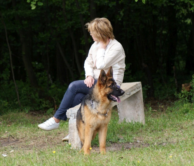 ScholaInNatura Fotogaleria