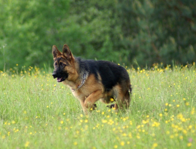 ScholaInNatura Fotogaleria