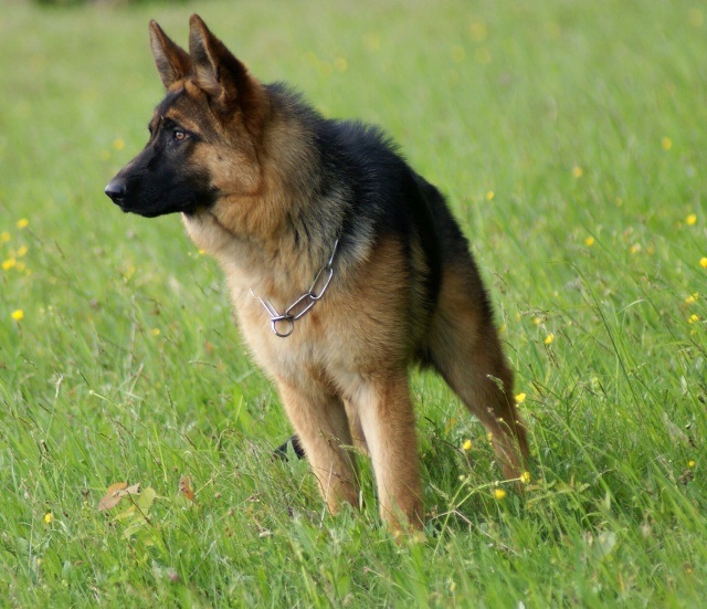 ScholaInNatura Fotogaleria