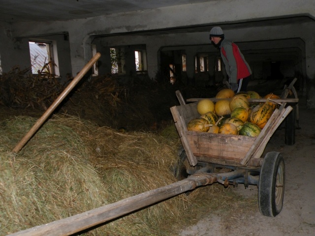 ScholaInNatura Fotogaleria