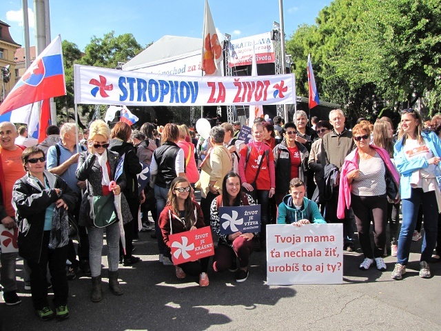 ScholaInNatura Fotogaleria