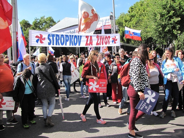 ScholaInNatura Fotogaleria