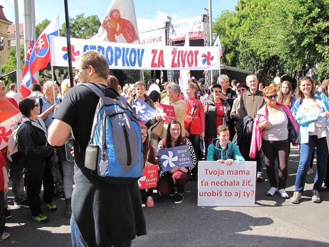 ScholaInNatura Fotogaleria